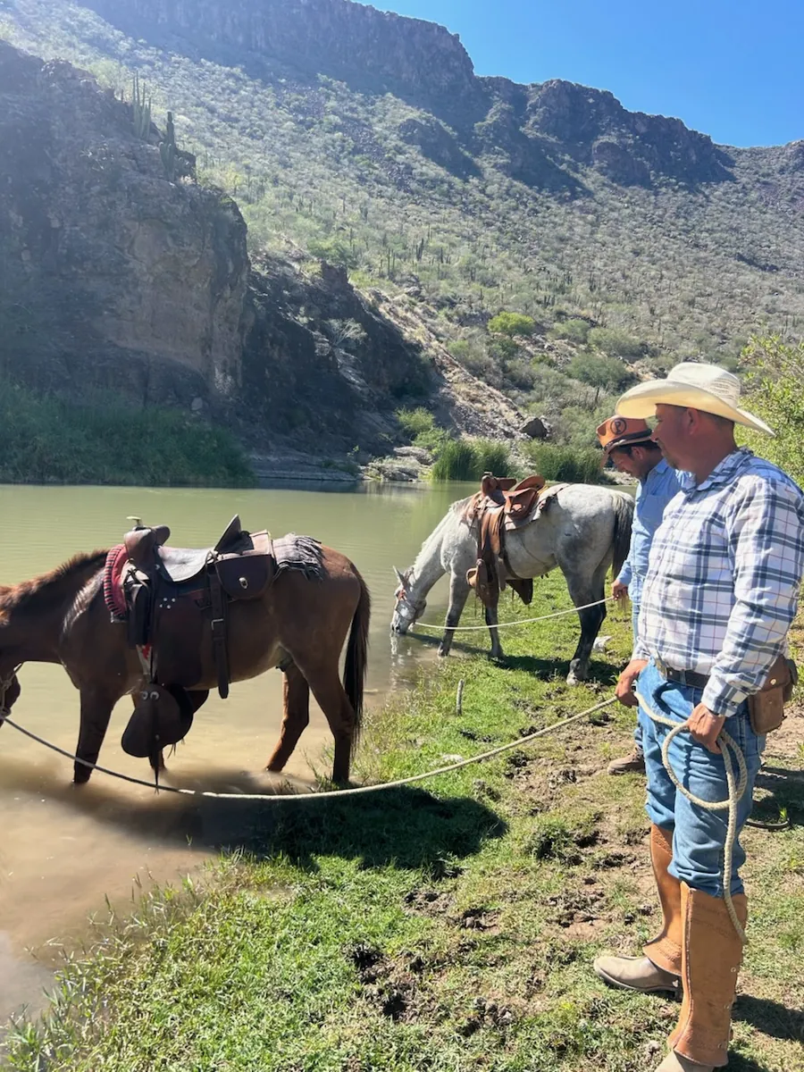 Two men in cowboy hats stand beside two saddled horses drinking at a pond, with cactus-covered mountain slopes behind