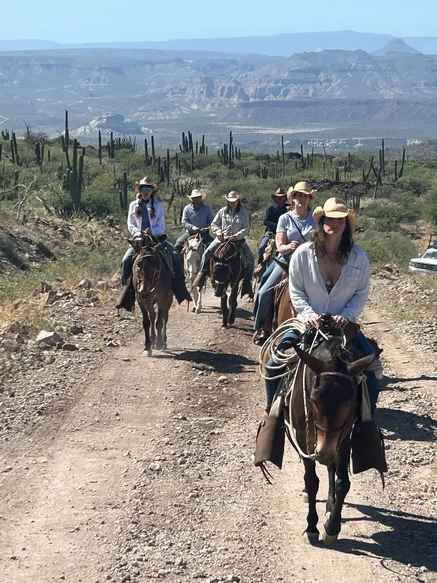 Six riders on horseback and mules coming down a rocky trail toward the camera, with tall cacti and desert mountains behind them